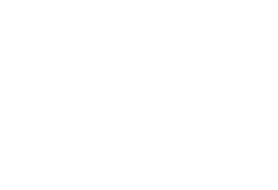 logo-ballon-blanc