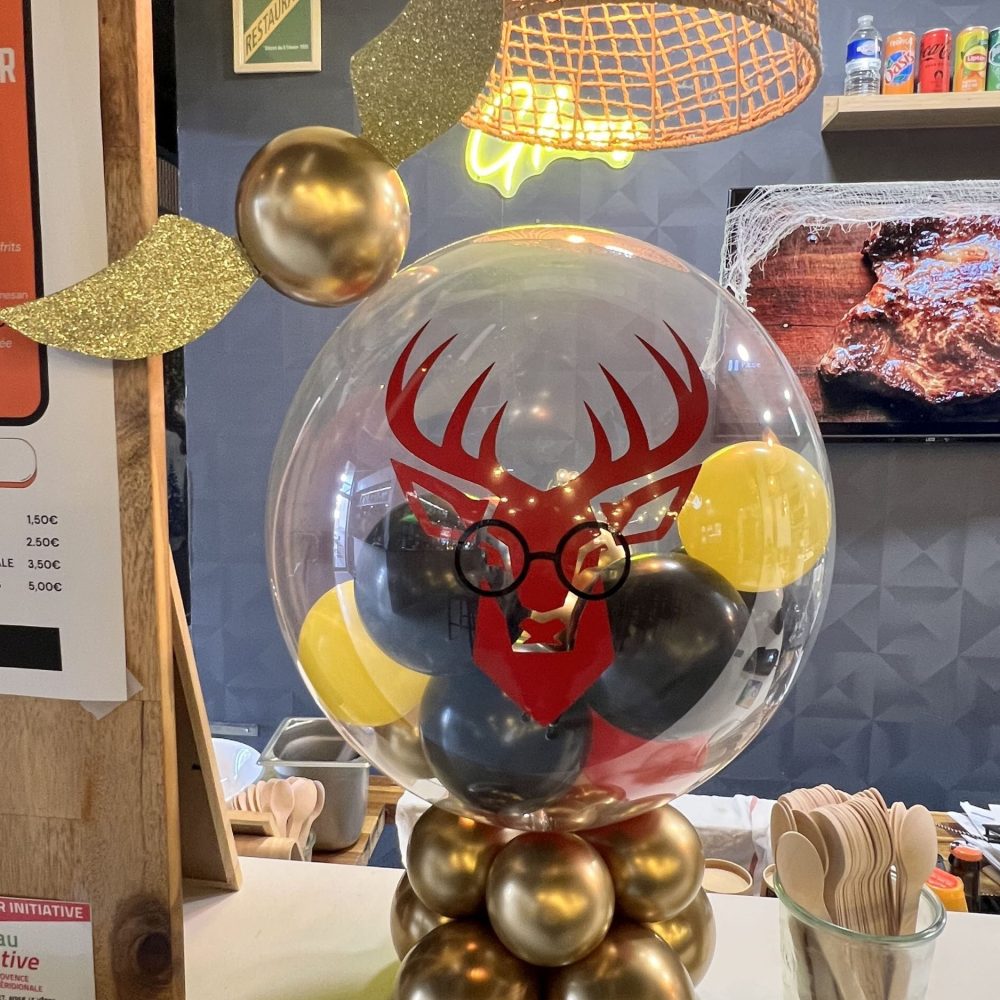ballon-de-prestige-evenement (21)