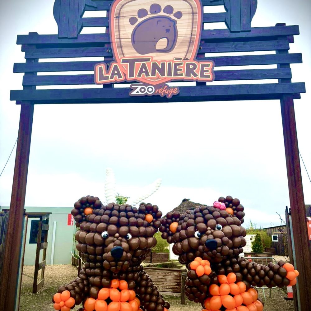 ballon-de-prestige-evenement-zoo-la-taniere